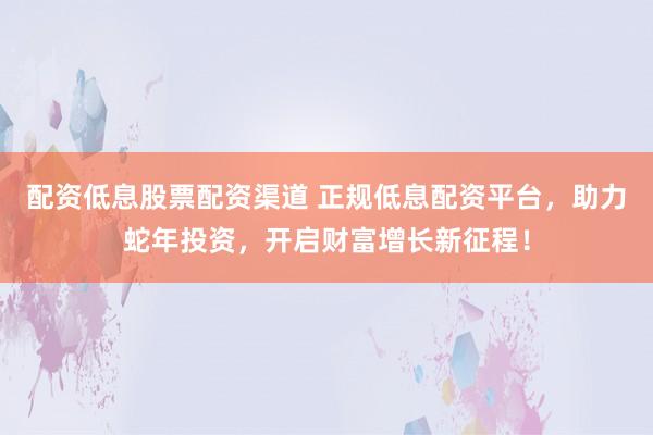 配资低息股票配资渠道 正规低息配资平台，助力蛇年投资，开启财富增长新征程！