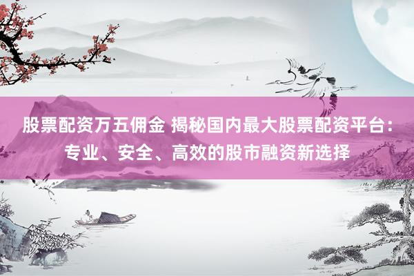 股票配资万五佣金 揭秘国内最大股票配资平台：专业、安全、高效的股市融资新选择