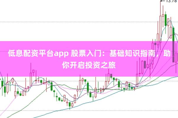低息配资平台app 股票入门：基础知识指南，助你开启投资之旅