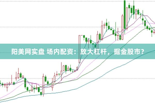 阳美网实盘 场内配资：放大杠杆，掘金股市？