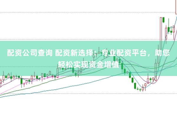 配资公司查询 配资新选择：专业配资平台，助您轻松实现资金增值