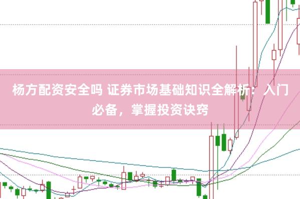杨方配资安全吗 证券市场基础知识全解析：入门必备，掌握投资诀窍
