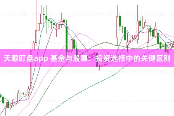 天眼盯盘app 基金与股票：投资选择中的关键区别