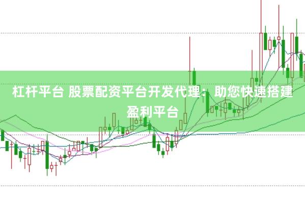杠杆平台 股票配资平台开发代理：助您快速搭建盈利平台