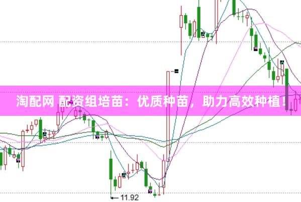 淘配网 配资组培苗：优质种苗，助力高效种植！