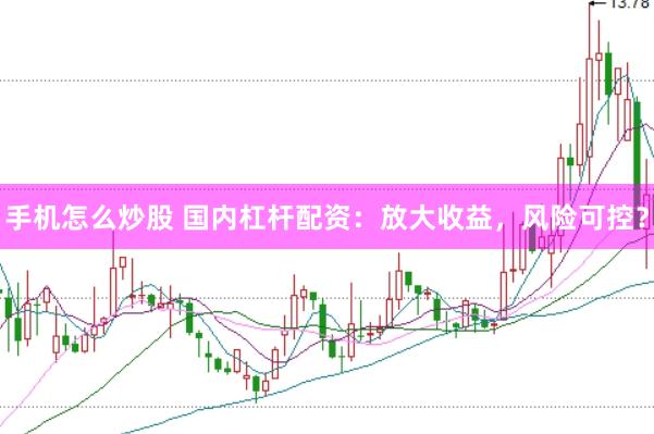 手机怎么炒股 国内杠杆配资：放大收益，风险可控？