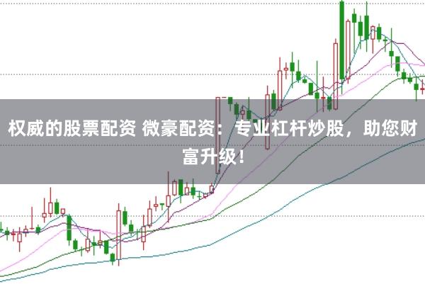 权威的股票配资 微豪配资：专业杠杆炒股，助您财富升级！