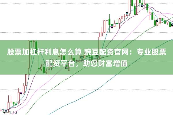 股票加杠杆利息怎么算 豌豆配资官网：专业股票配资平台，助您财富增值