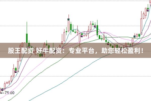 股王配资 好牛配资：专业平台，助您轻松盈利！