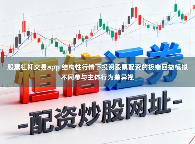 股票杠杆交易app 结构性行情下投资股票配资的极端回撤模拟不同参与主体行为差异视