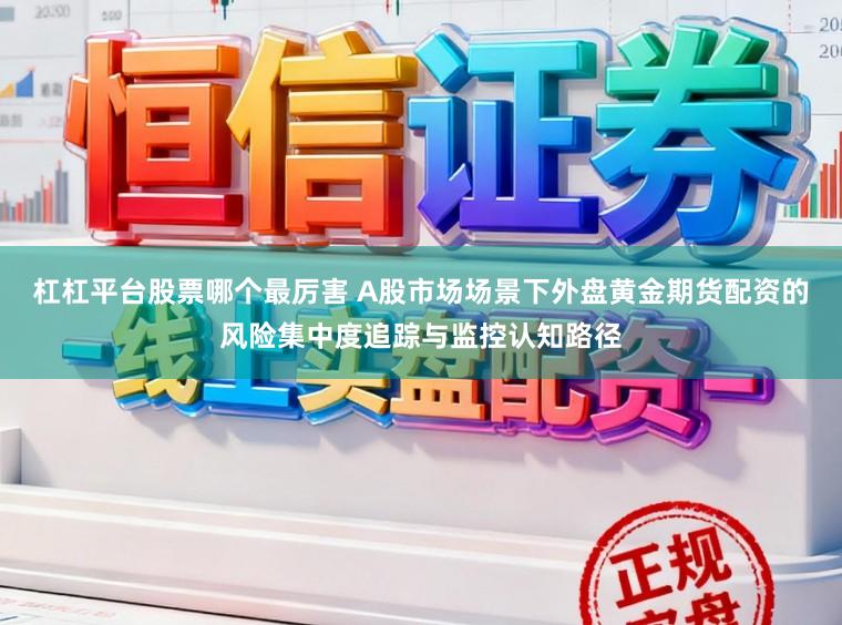 杠杠平台股票哪个最厉害 A股市场场景下外盘黄金期货配资的风险集中度追踪与监控认知路径